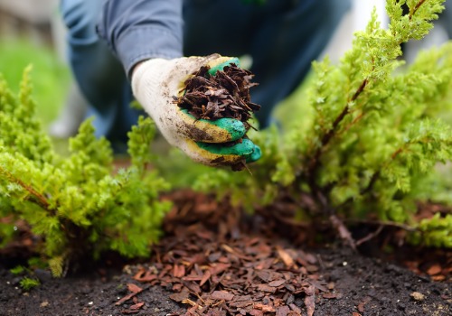 Gardener Mulching as a Part of Professional Landscaping for Washington IL