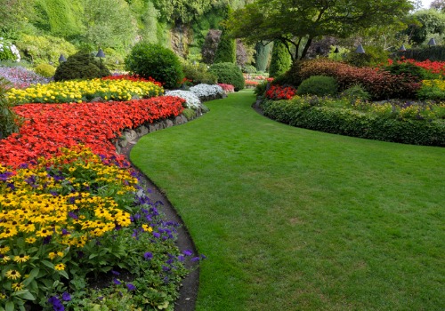 Blooming Flowerbeds after Landscaping in Washington IL