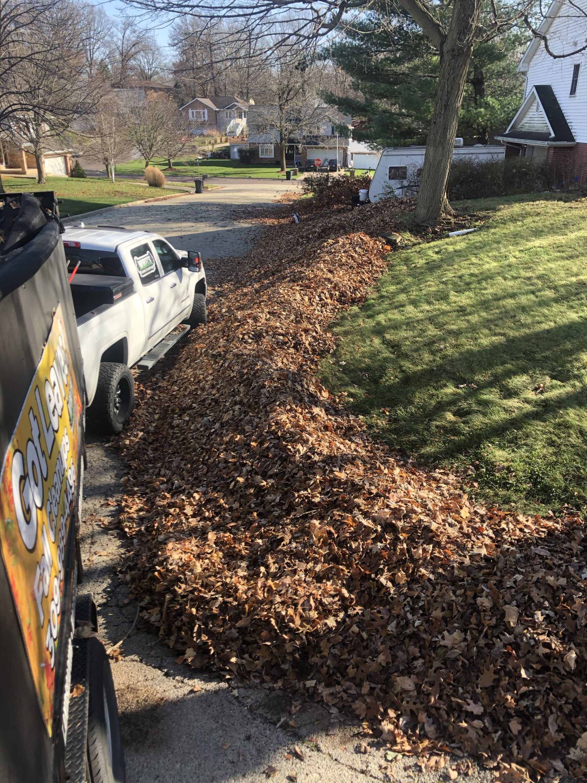 Fall Cleanup Spring Cleanup Peoria IL Lawn Care Services