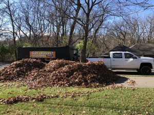 A big pile of leaves getting ready to be collected and carried away as a part of fall cleanup in Peoria IL