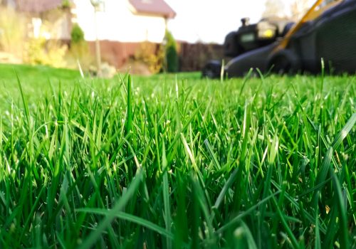 Close Up of Lawn Mower Being Used for Lawn Mowing Services in Washington IL