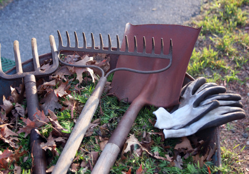 Tools Needed to Maintain an Outdoor Living Space in East Peoria IL