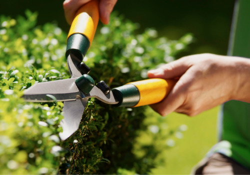 Worker Trimming Hedges as a Part of Lawn Care in Washington IL