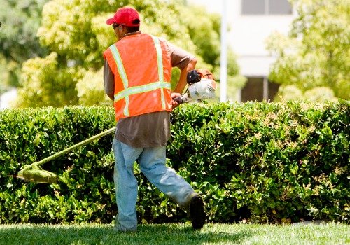 Weed eating is part of the offerings if you're searching for Landscaping Companies Peoria IL