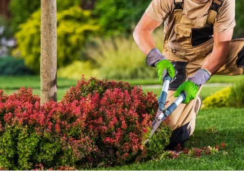 A team member of Mobeck Lawn & Landscape trims hedges while providing Landscaping Services in Washington IL