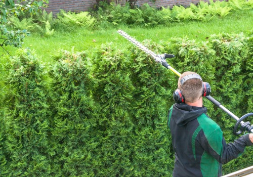 A member of the team of Local Landscapers in East Peoria IL trims bushes