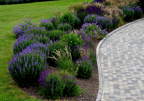 Bright flowers bloom in a homeowner's new landscaping after she searched for top Landscaping Companies in Washington IL