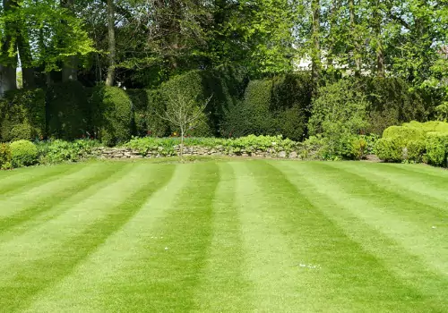 A freshly mowed lawn is just one of the services offered by Mobeck Lawn &. Landscape, which offers Local Lawn Care in Washington IL